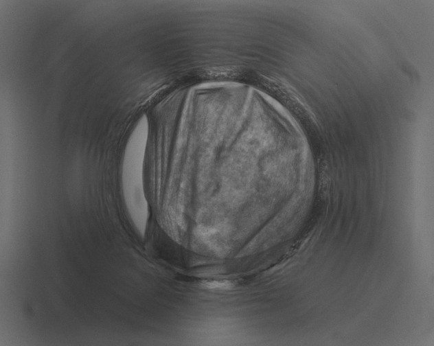 X0000116370076200912291718