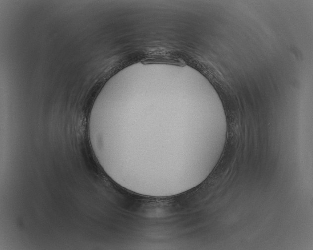 X0000116370081200912291718