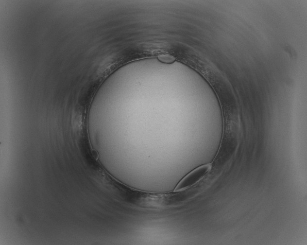 X0000116370084200912291718