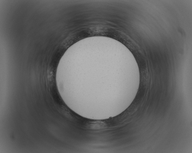 X0000116370087200912291719