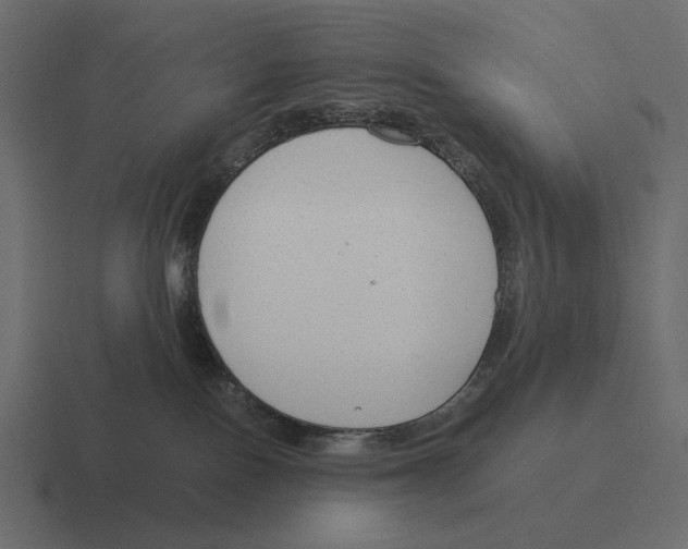 X0000116370090200912291719