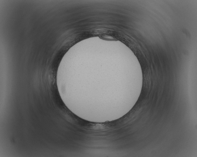 X0000116370091200912291719