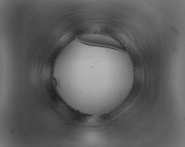 X0000116370092200912291719