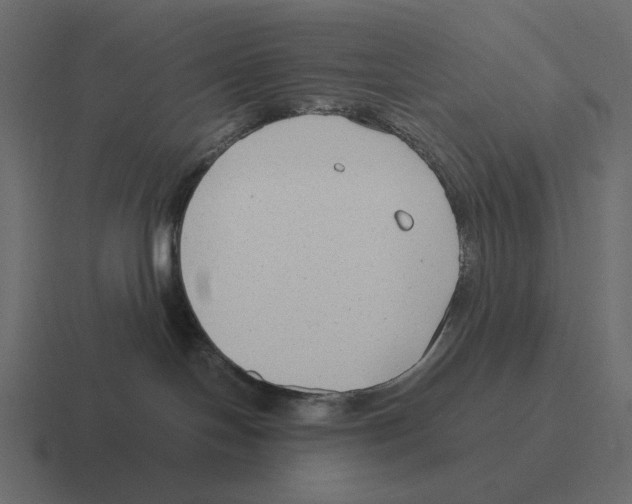 X0000116370094200912291719