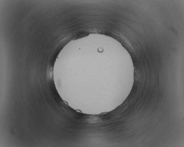 X0000116370095200912291719