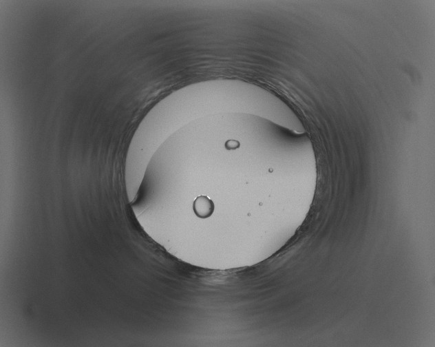 X0000116370096200912291719