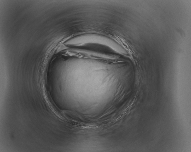 X0000116370097200912291718