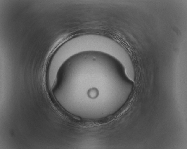 X0000116370101200912291718