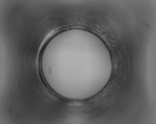 X0000116370102200912291718