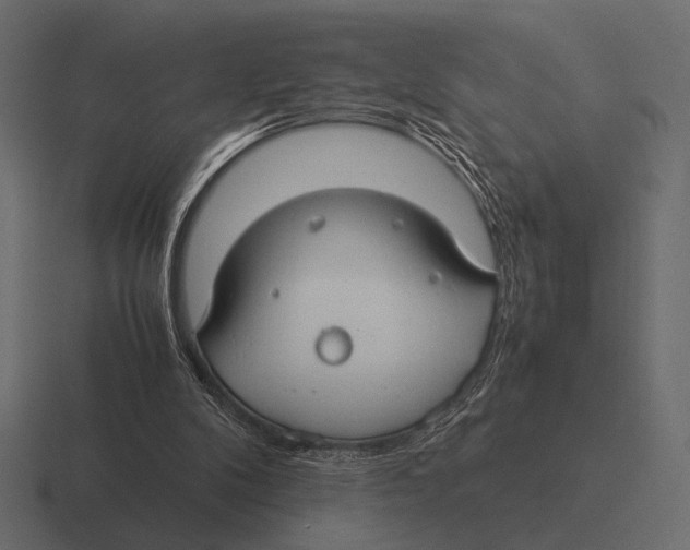 X0000116370104200912291718