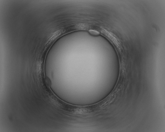 X0000116370105200912291718