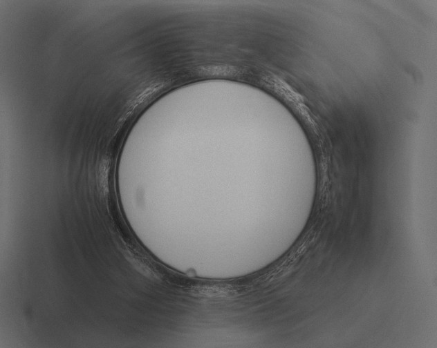 X0000116370106200912291718