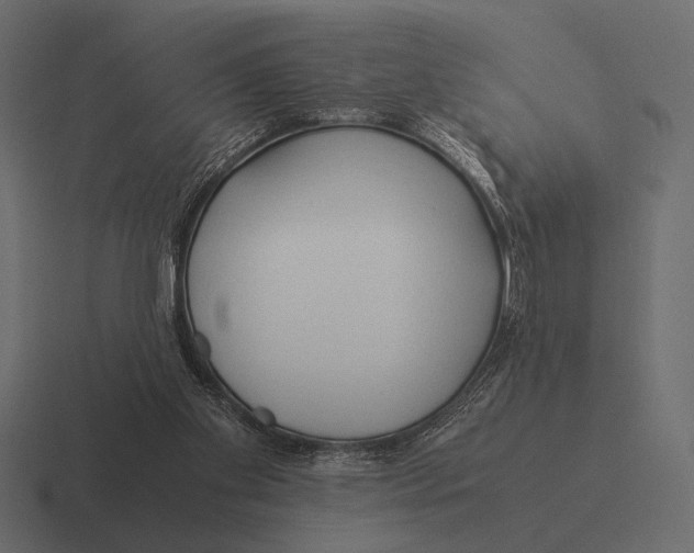 X0000116370109200912291718