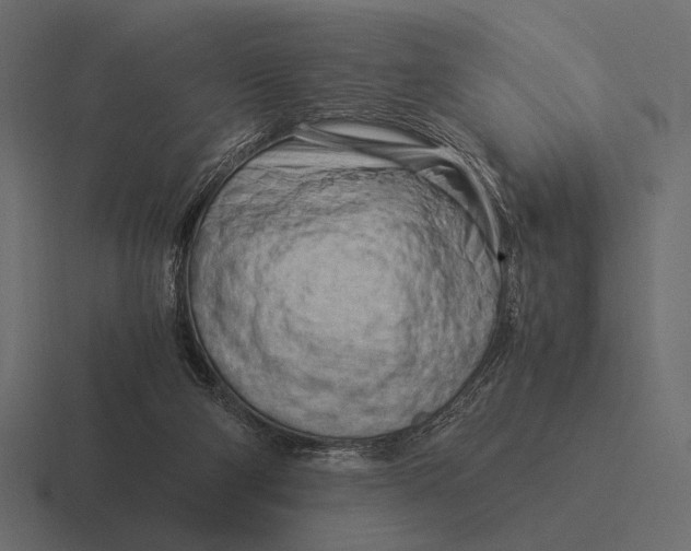 X0000116370114200912291718