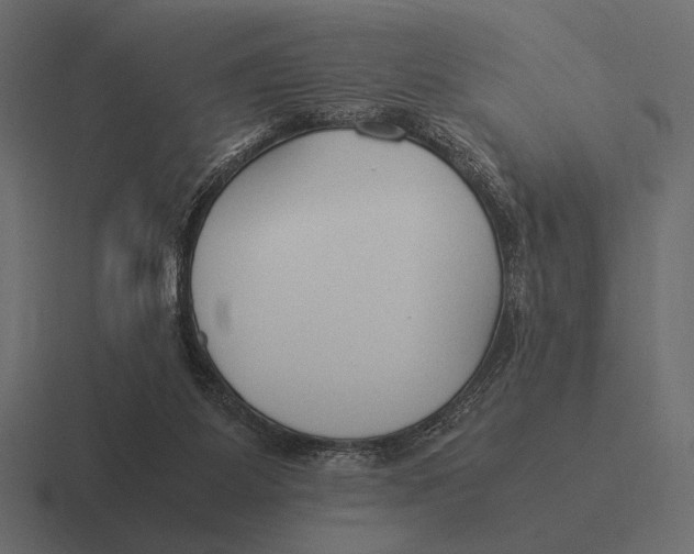 X0000116370115200912291718