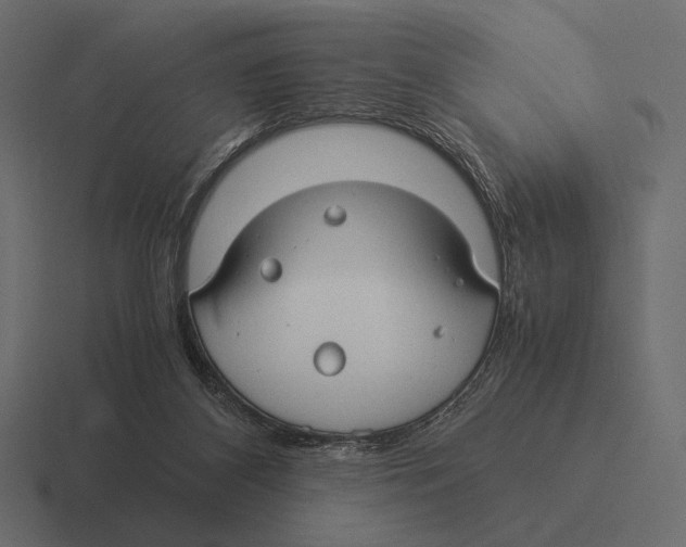 X0000116370116200912291718