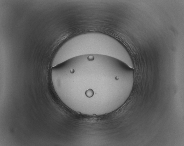 X0000116370120200912291718