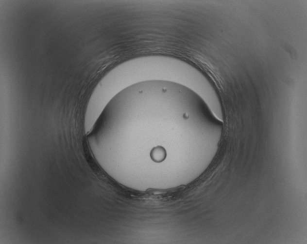 X0000116370121200912291718