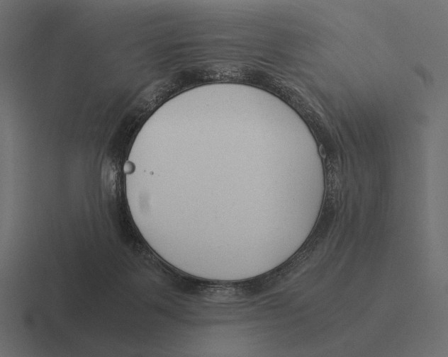 X0000116370123200912291718