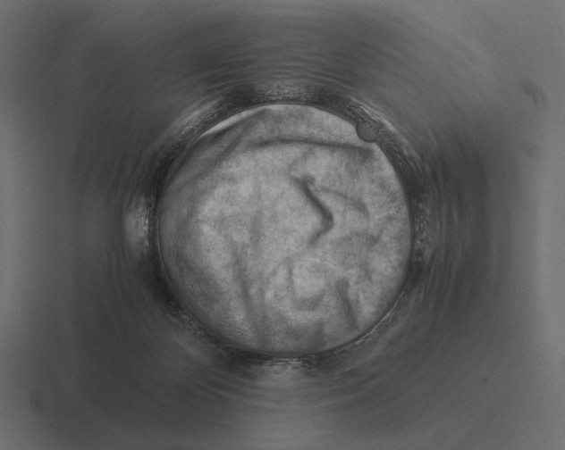 X0000116370124200912291718