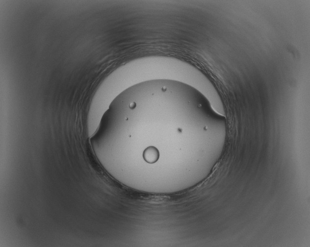 X0000116370128200912291718