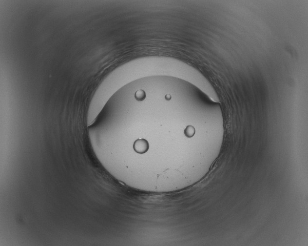 X0000116370132200912291718