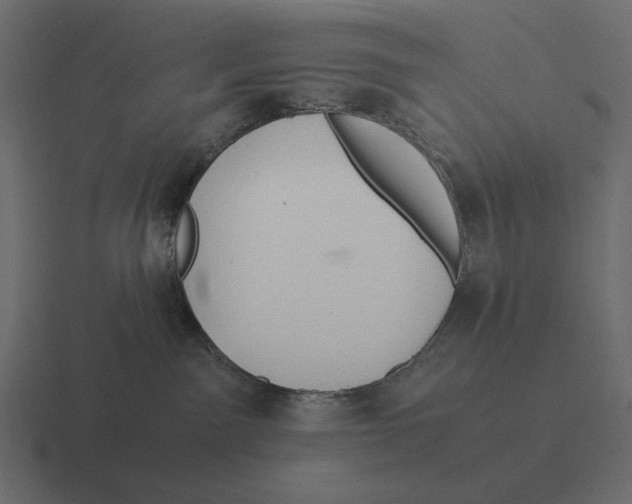 X0000116370141200912291717