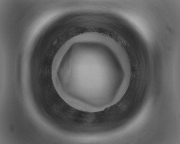 X0000116370143200912291717