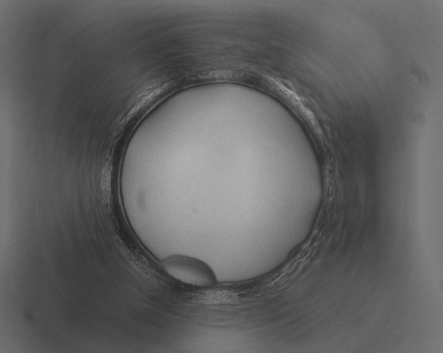 X0000116370154200912291717