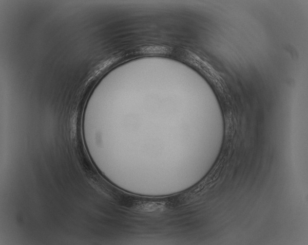 X0000116370155200912291717