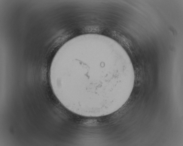 X0000116370162200912291717