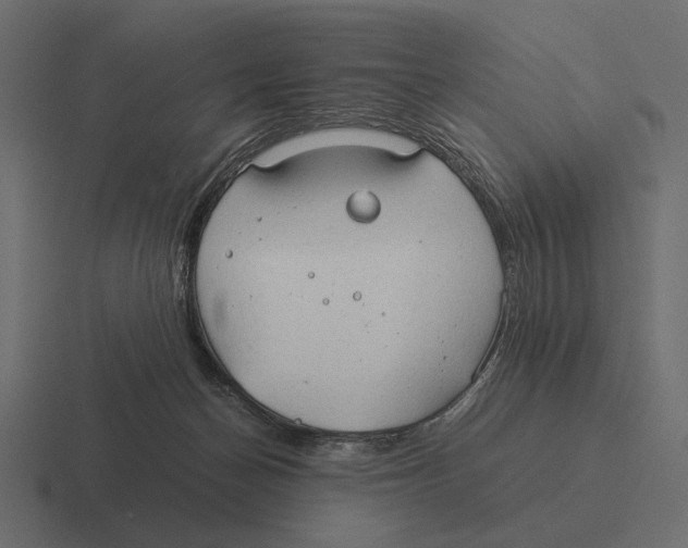 X0000116370174200912291717