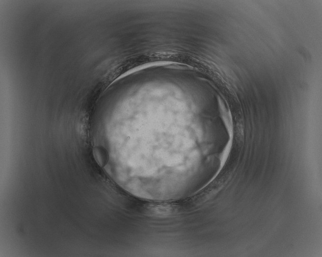 X0000116370181200912291717