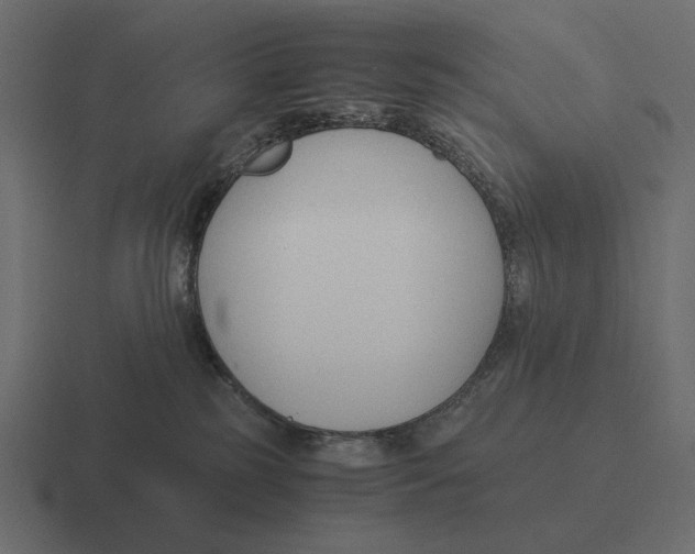 X0000116370185200912291717