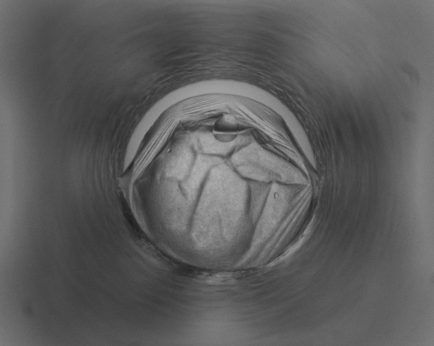 X0000116370186200912291717