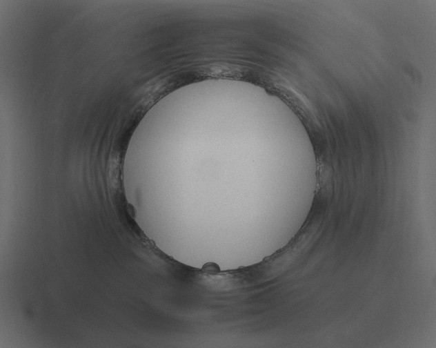 X0000116370189200912291717