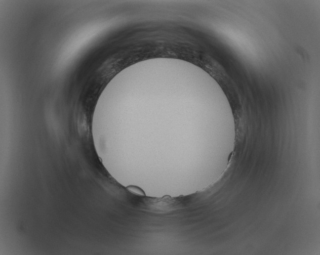 X0000116370191200912291717