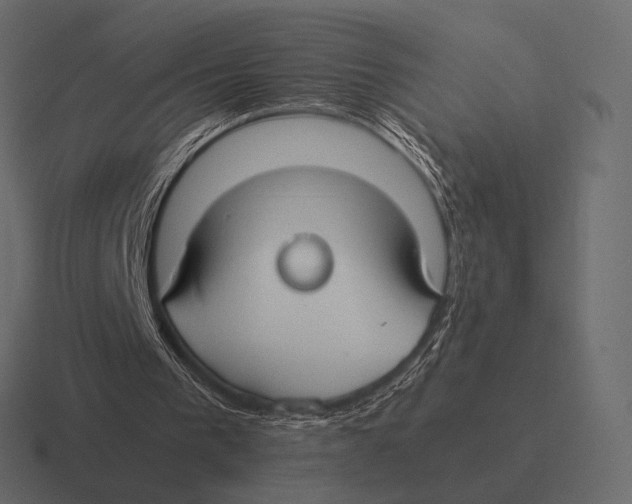 X0000116370193200912291717