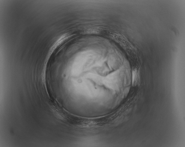 X0000116370195200912291717