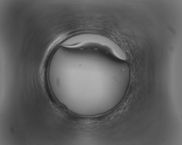 X0000116370197200912291717