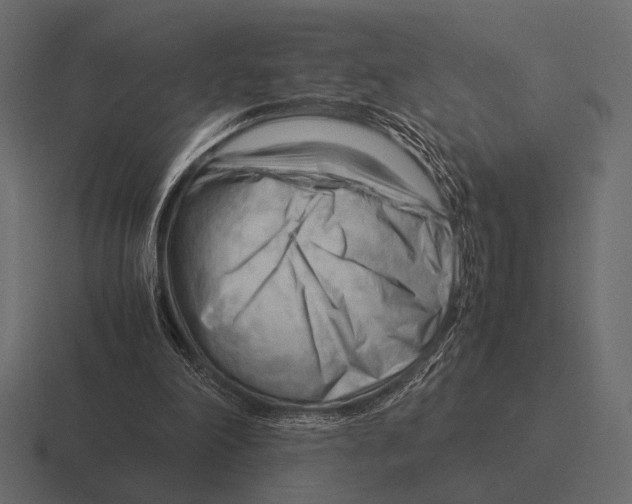 X0000116370198200912291717