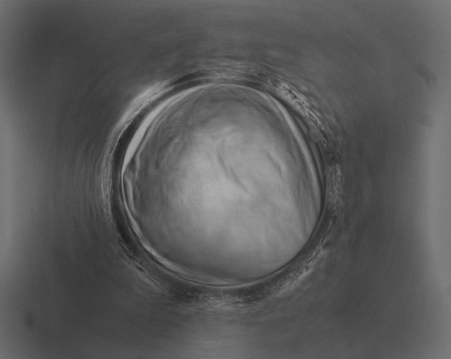 X0000116370199200912291717