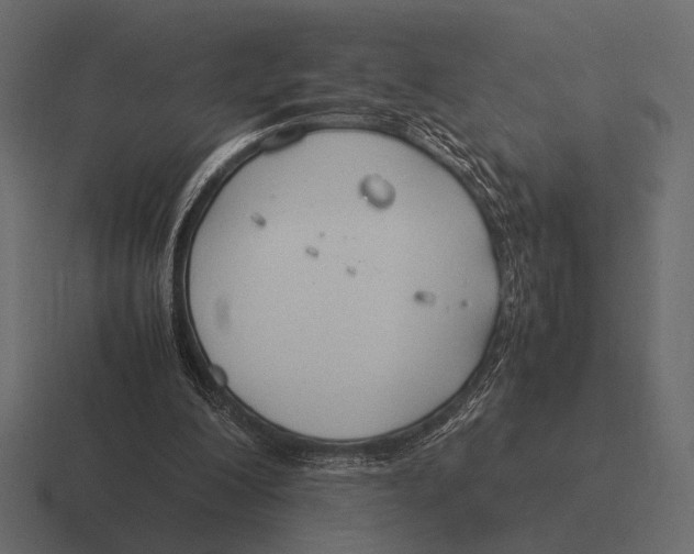 X0000116370200200912291717