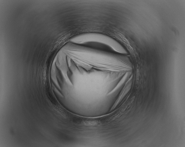 X0000116370202200912291717