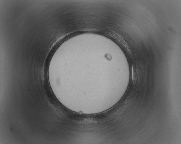 X0000116370204200912291717