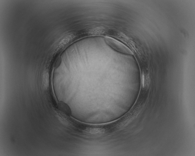 X0000116370205200912291717