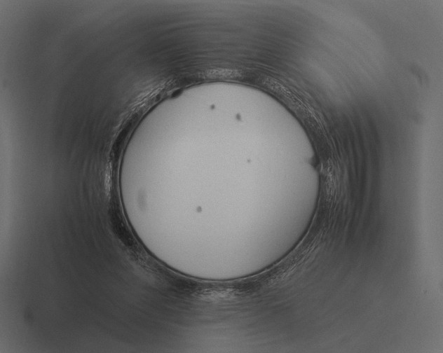 X0000116370206200912291717