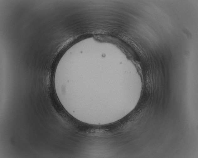 X0000116370208200912291717