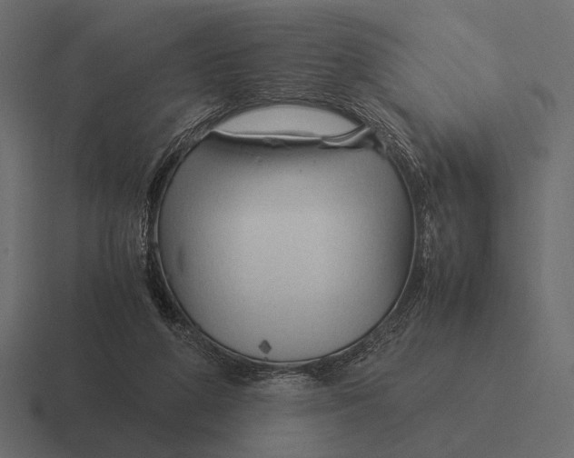 X0000116370210200912291717