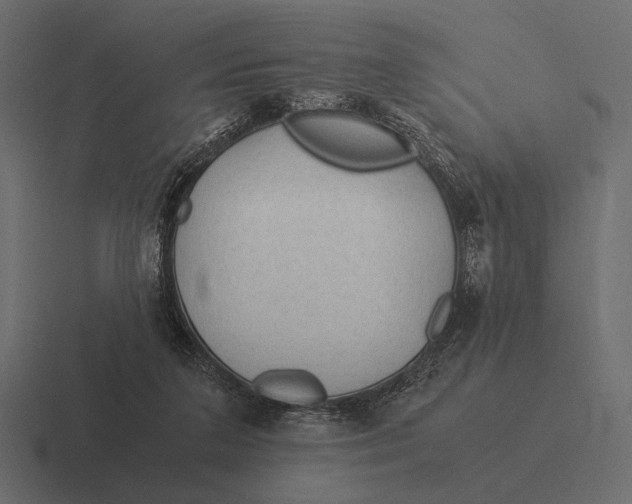 X0000116370211200912291717